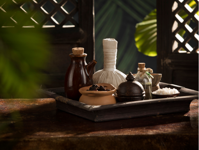 Ayurveda Treatment