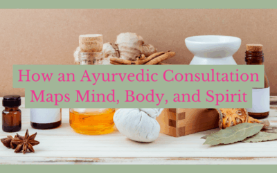 The Holistic Blueprint: How an Ayurvedic Consultation Maps Mind, Body, and Spirit
