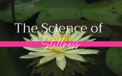 The Science of Stillness