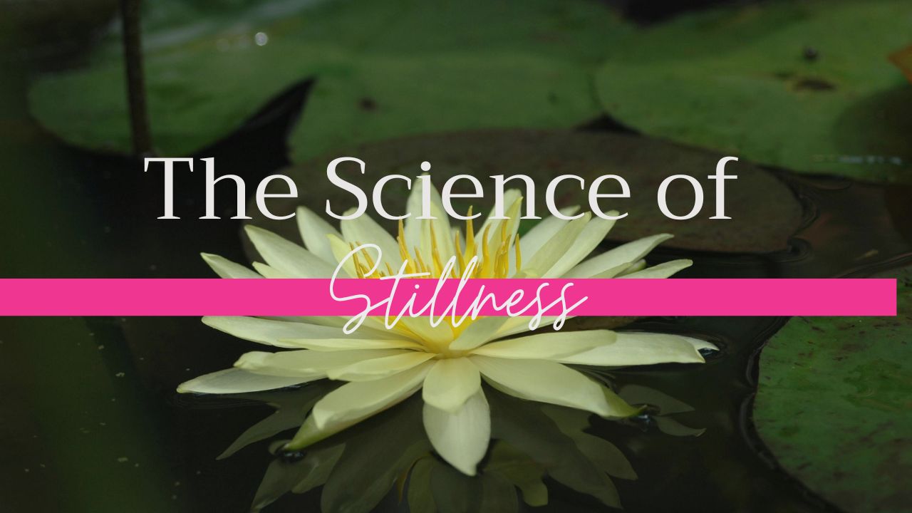 The Science of Stillness